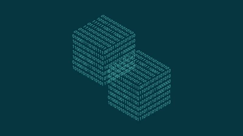 南沙区信创改造：网络应用开发流程标准化的核心路径与实践